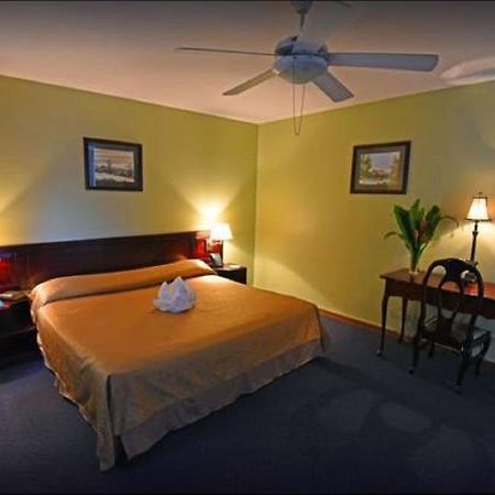 Hotel Del Rey Hotel De Ciudad (Adults Only) サンホセ エクステリア 写真