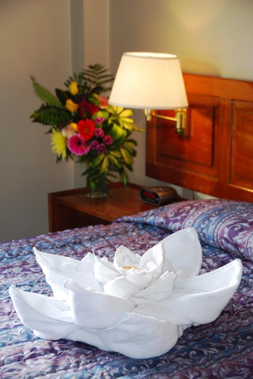 Hotel Del Rey Hotel De Ciudad (Adults Only) サンホセ 部屋 写真